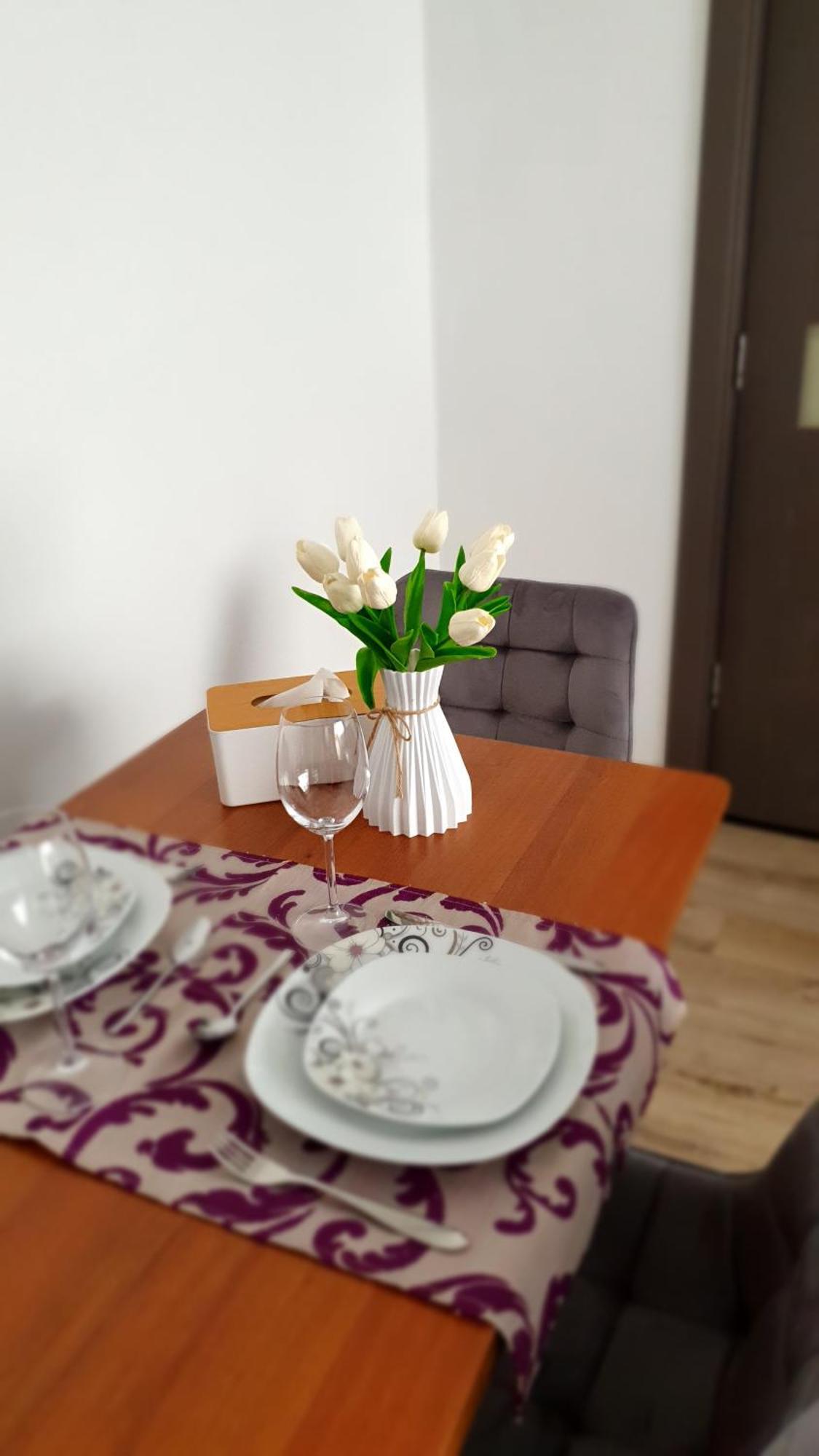 Andrei Apartment Brasov Braşov Exterior foto